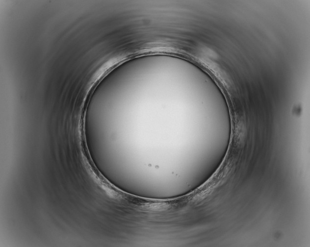 X0000099291282200805090921