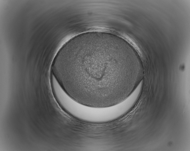 X0000099291283200805090921