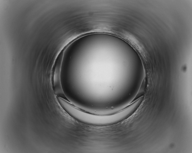 X0000099291284200805090921