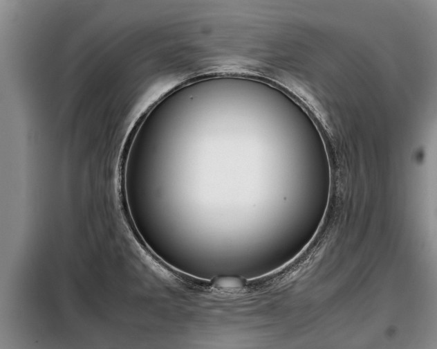 X0000099291285200805090921