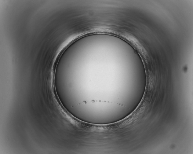 X0000099291286200805090921