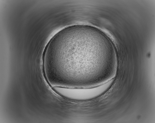 X0000099291287200805090921