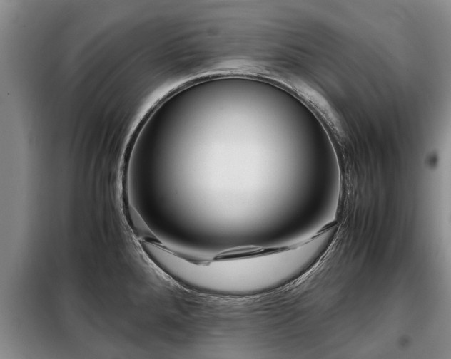 X0000099291288200805090921