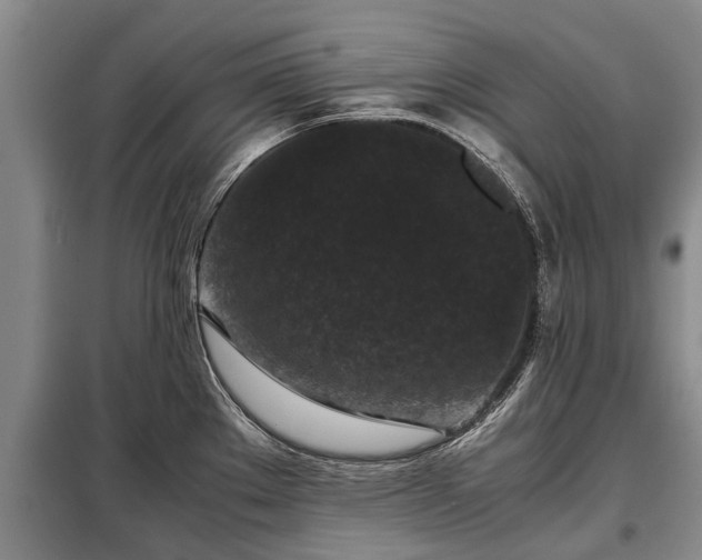 X0000099291289200805090921