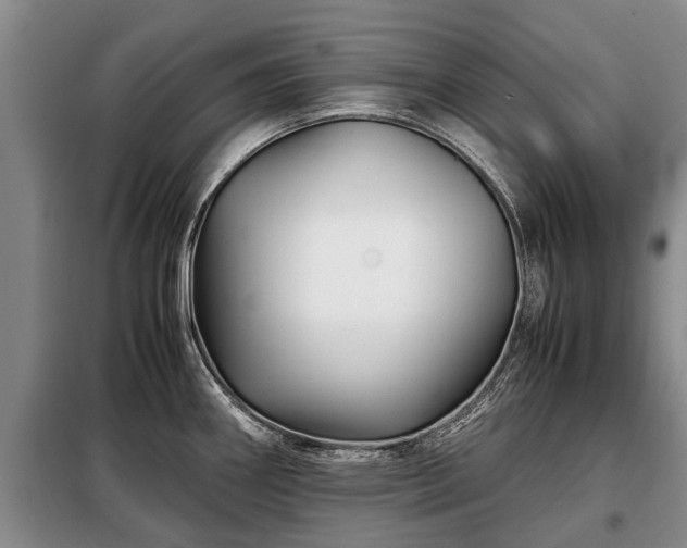 X0000099291290200805090921