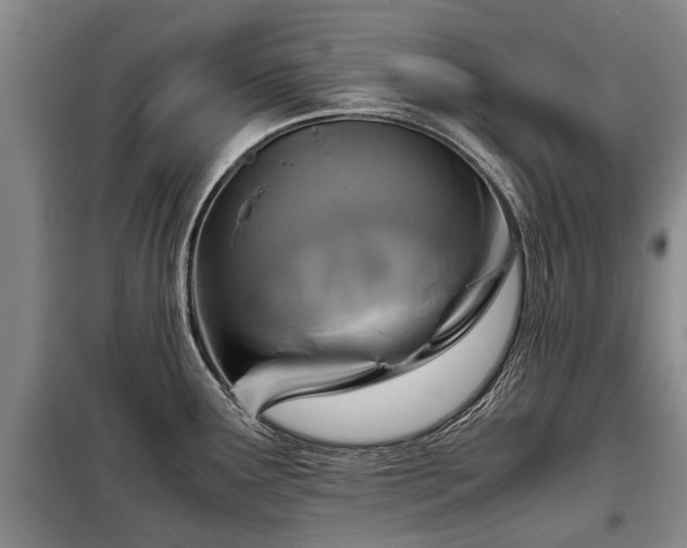 X0000099291291200805090921