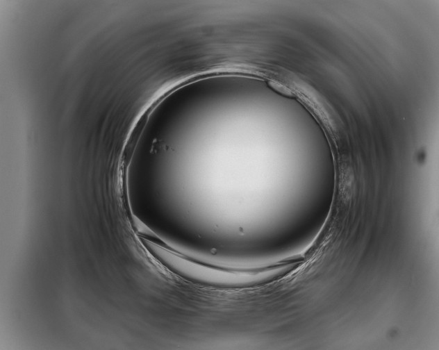 X0000099291292200805090921