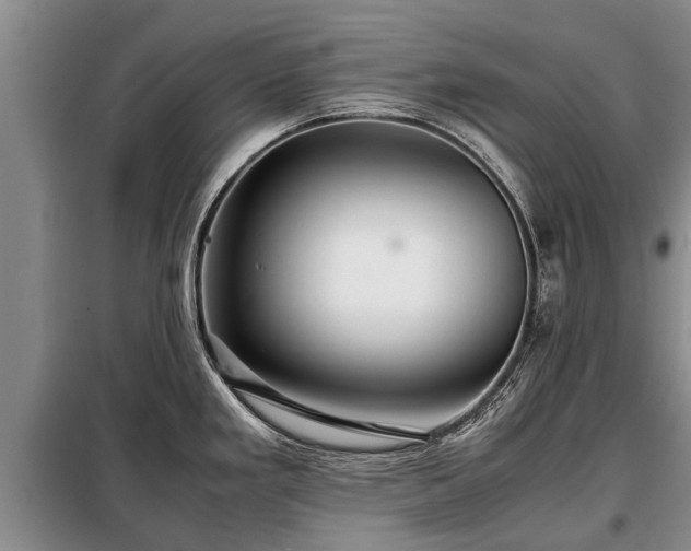 X0000099291293200805090921