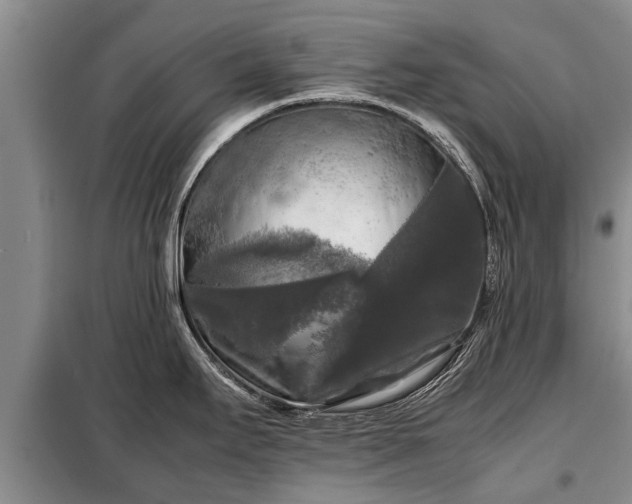 X0000099291295200805090921
