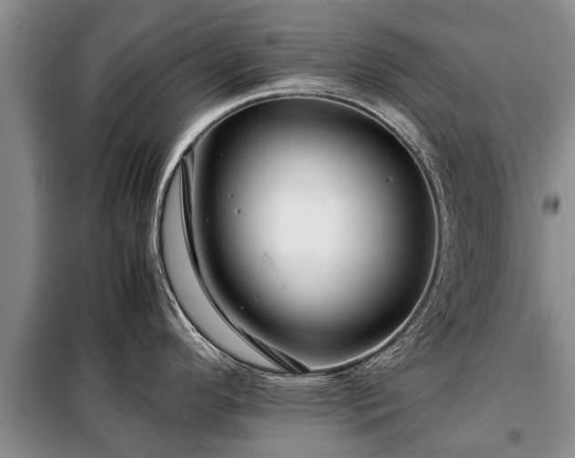 X0000099291296200805090921