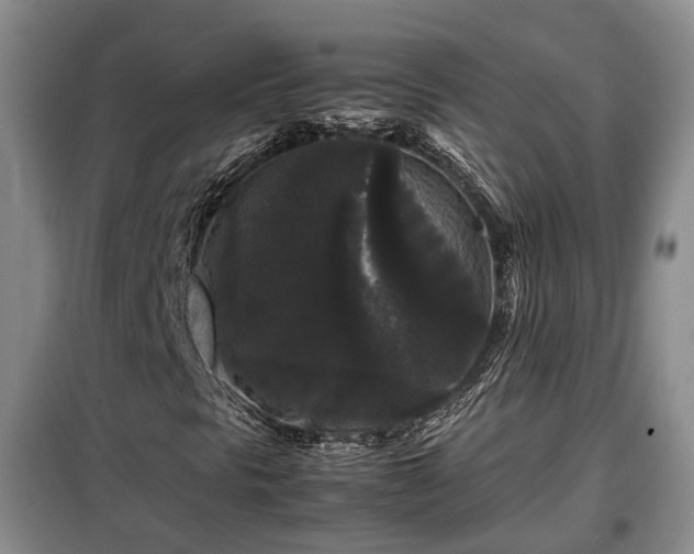 X0000099291297200805090920