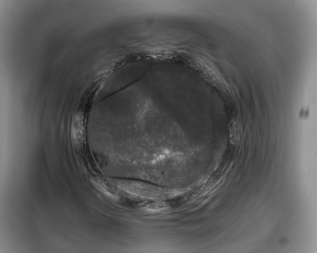 X0000099291298200805090920