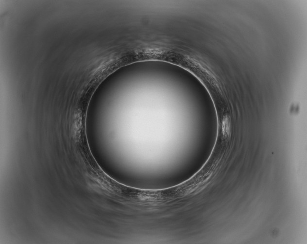 X0000099291299200805090920