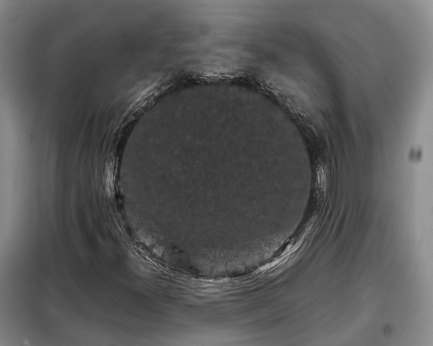 X0000099291300200805090920