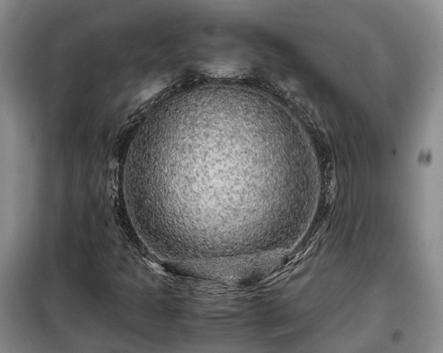 X0000099291301200805090920