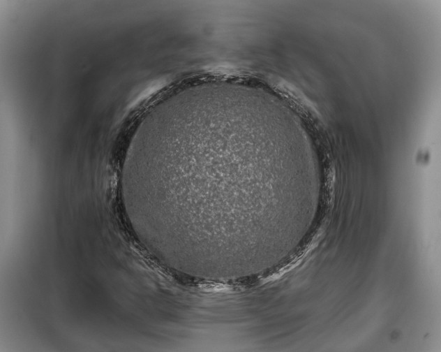 X0000099291302200805090920