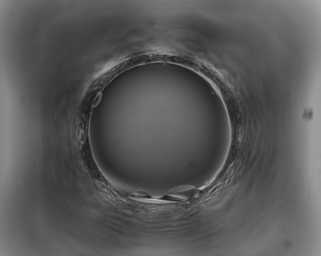 X0000099291303200805090920