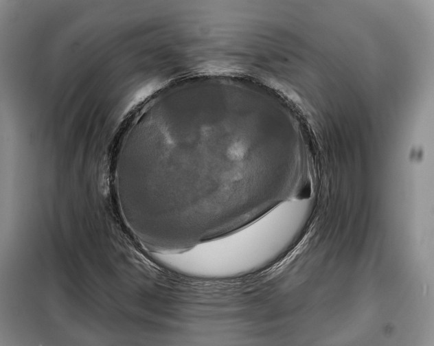 X0000099291306200805090920