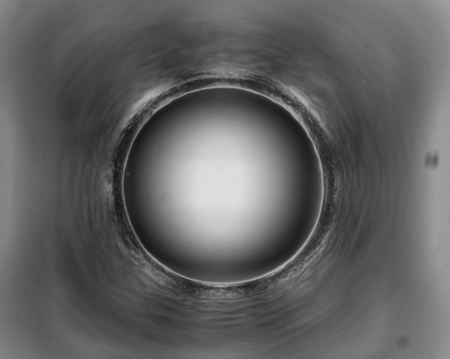 X0000099291307200805090920