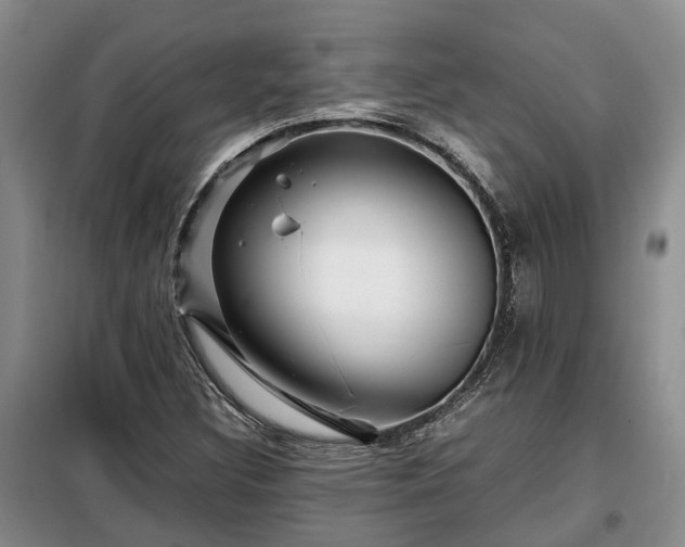 X0000099291308200805090920