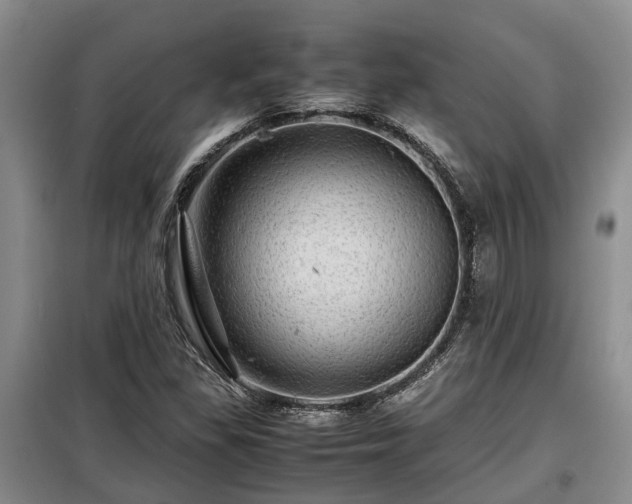 X0000099291309200805090920