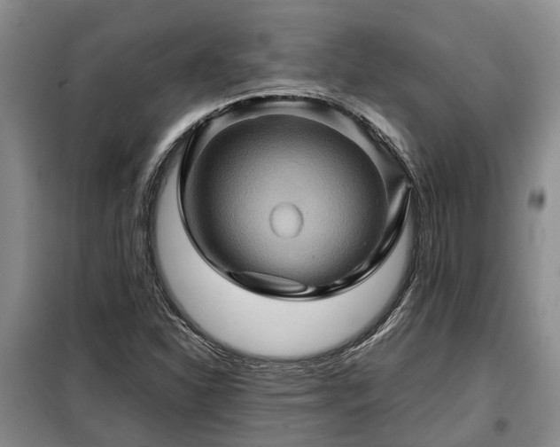 X0000099291310200805090920