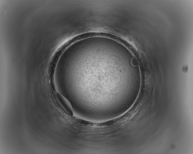 X0000099291311200805090920