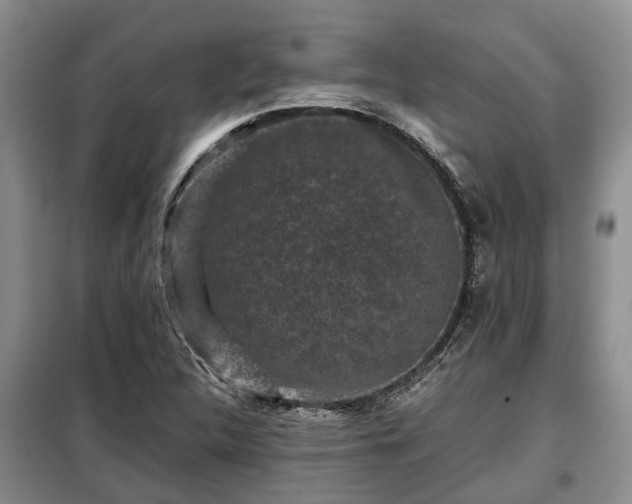 X0000099291312200805090920