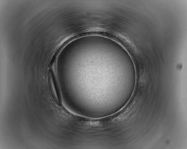X0000099291313200805090920