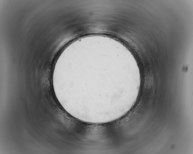 X0000099291314200805090920