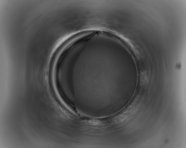 X0000099291319200805090920