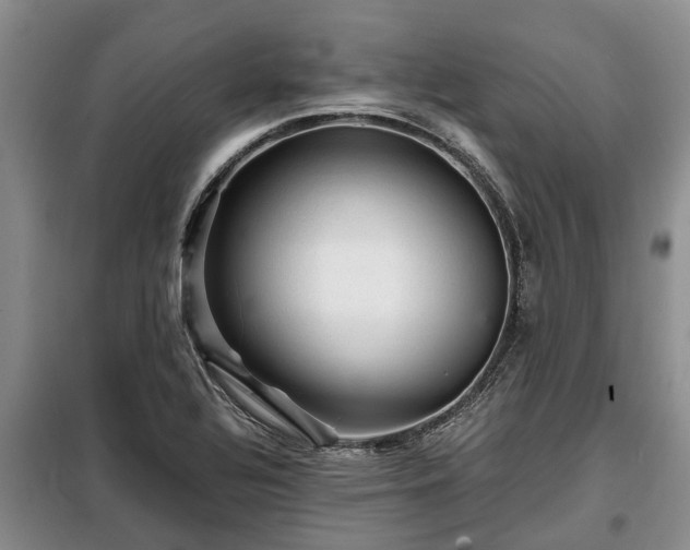X0000099291320200805090920