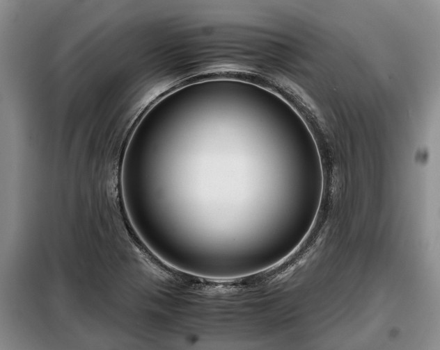 X0000099291321200805090920
