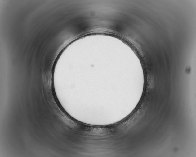 X0000099291322200805090920