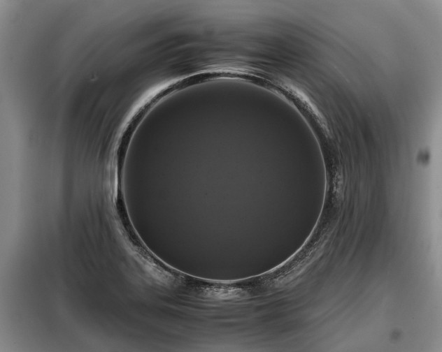 X0000099291323200805090920