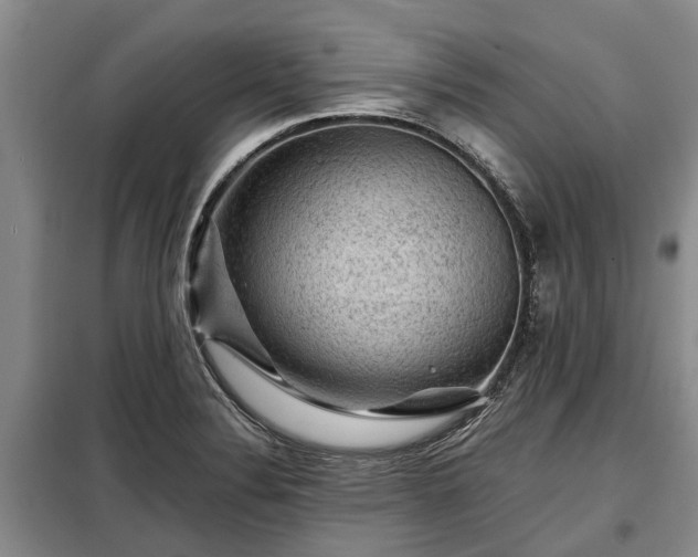 X0000099291324200805090920