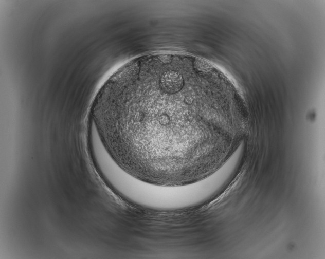 X0000099291325200805090920