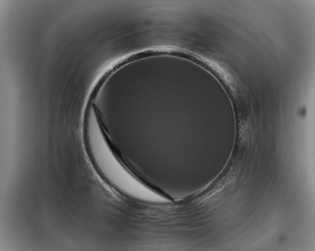 X0000099291327200805090920