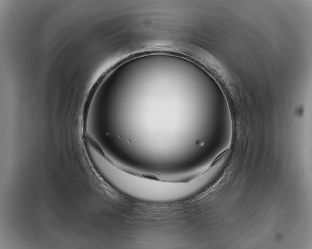 X0000099291328200805090920
