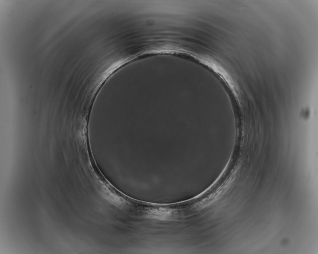 X0000099291329200805090920