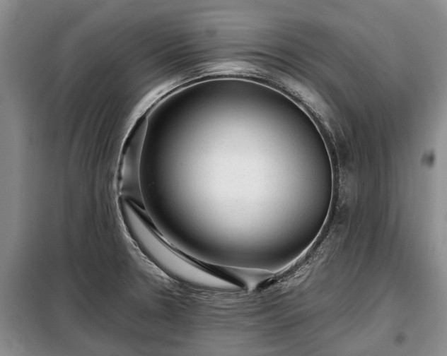 X0000099291330200805090921