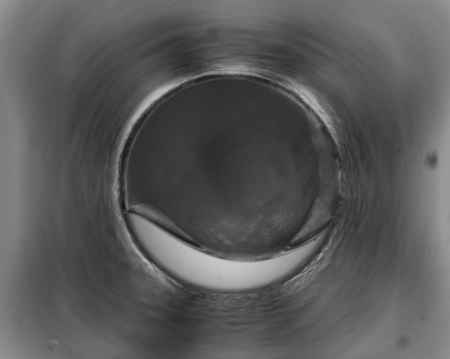 X0000099291331200805090921