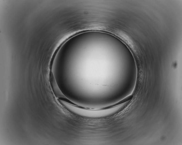 X0000099291332200805090921