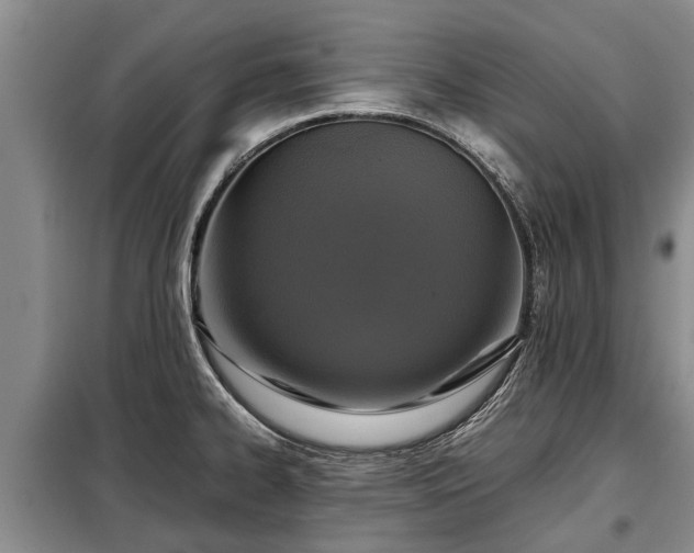 X0000099291334200805090921