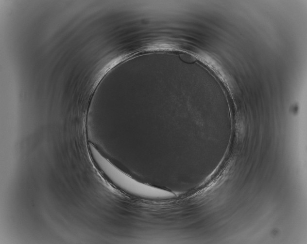 X0000099291337200805090921