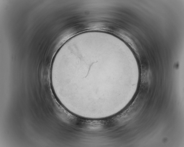 X0000099291338200805090921