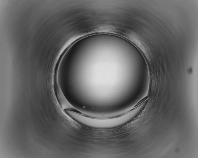 X0000099291339200805090921