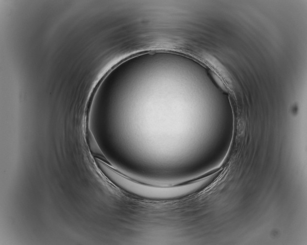 X0000099291340200805090921
