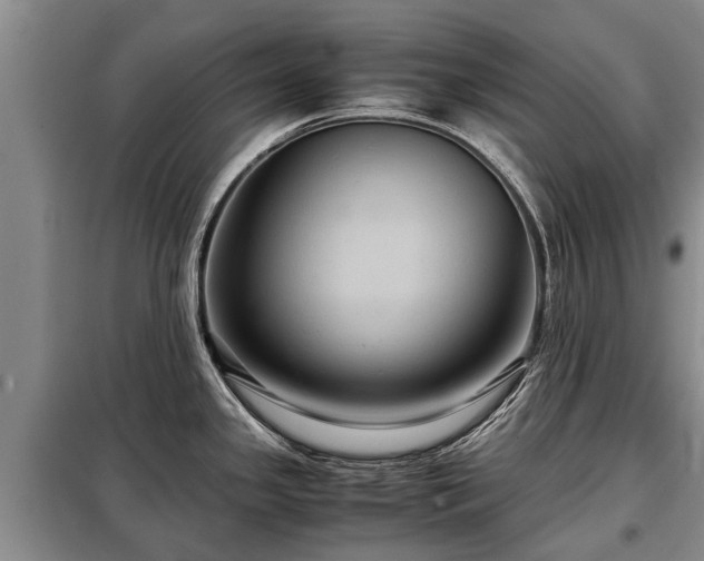 X0000099291341200805090921