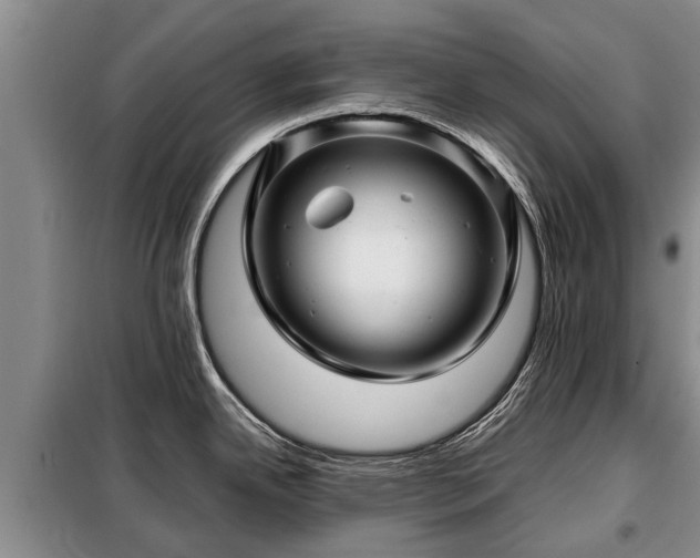 X0000099291342200805090921